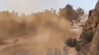 Amazing viral vídeo