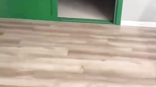 Best funniest cats and dogs video clips compilation