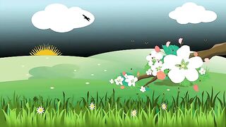 Flower video