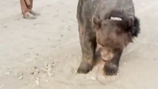 very funny clip#shots