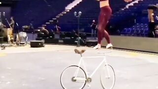 Amazing viral vídeo