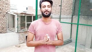 i Released them But They Are in Danger ⚡|| Red Wattled lapwing|| Pets Vlog