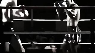 Professional fights
