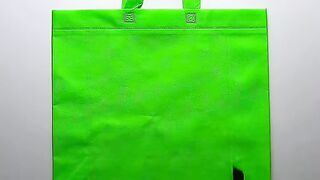 थैले से बनाओ ये चीज????@5MinuteCraftsYouTube #shorts @Miss.Hosiyar