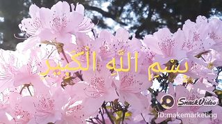 Dua for pain and fever