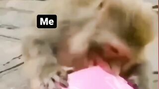 Me & sallerry Funny video,Like, follow,Enjoy