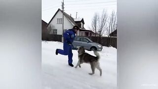 Funny Animals