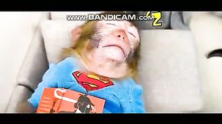 Pet or Animals Videos 4-3-2023-2
