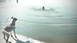 Tik tok vedio