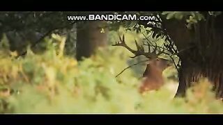 Relaxation Videos 4-3-2023-7