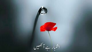 Islami status