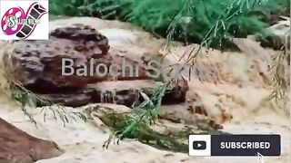 Kobsorat Nazara Bolan