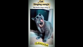 Cat Singning