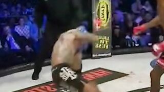 Brutal knockouts in MMA history #mma #knockouts #viral