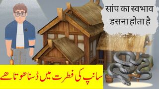सांप का स्वभाव डसना होता है | snacke cartoon moral stroy | hindi urdu kahanian