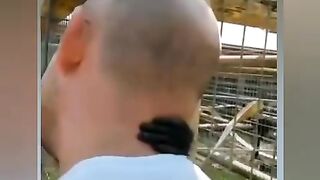 BEST MEMES COMPILATION