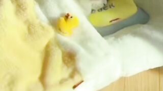 Cute cat pet care
