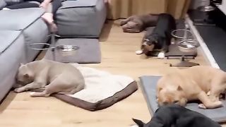 жизнь не сахар