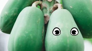 Papita Very Funny Video