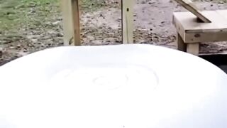 Jumping is fun
