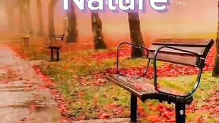 Beautiful Nature