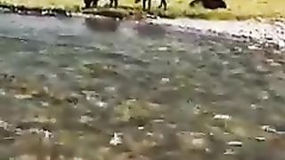 Deosai National Park|Pakistan دیوسائی نیشنل پارک