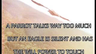 DON'T BE A PARROT IN LIFE