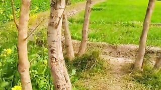Beautiful Village Of Pakistan