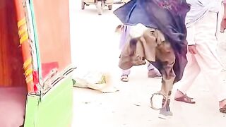 important short feed #subscribe