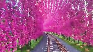 Linda paisagem ????