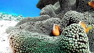 Natureza ????