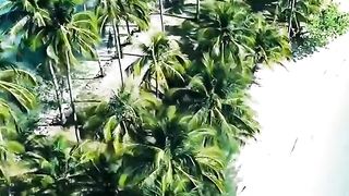 Paisagem linda ????