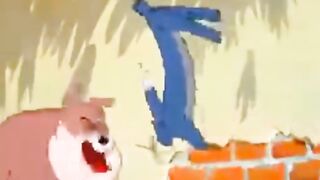 Tom and Jerry cartoon