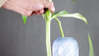 Flower arrangement