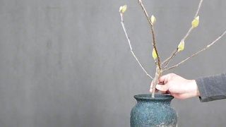 Flower arrangement
