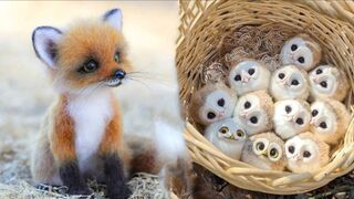 Детеныши и их невероятное появление