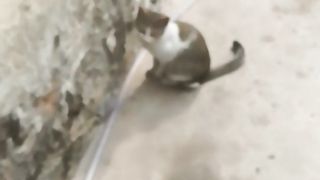Don't Jump