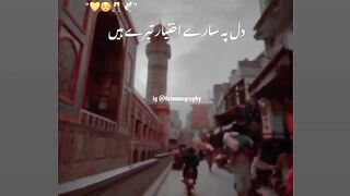 Dil pe sary ikhtiyar tery hain