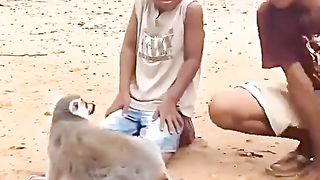 Ye Kya Ha|Hahaha!