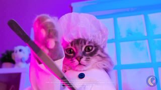 Look after your pet *Cat checks Gadgets and Hacks*