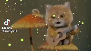 ????cat