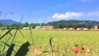 Beautiful Place, Natural