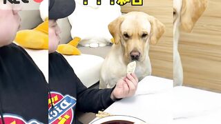 Very beautiful video