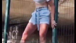 Funny Videos ????????