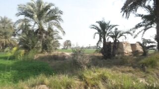 New video jogi been song tu lagiyan di laj rakh liyen