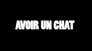 AVOIR UN CHAT