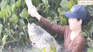 fishing |fish hunting | catch and cook | fishing video |big fish | fishing videos new | catching fis