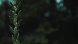 SHE KNOWS - Horror Short Film