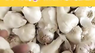 आज का लाईव लहसुन मंडी भाव देखिए
