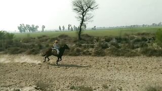 Horse riding